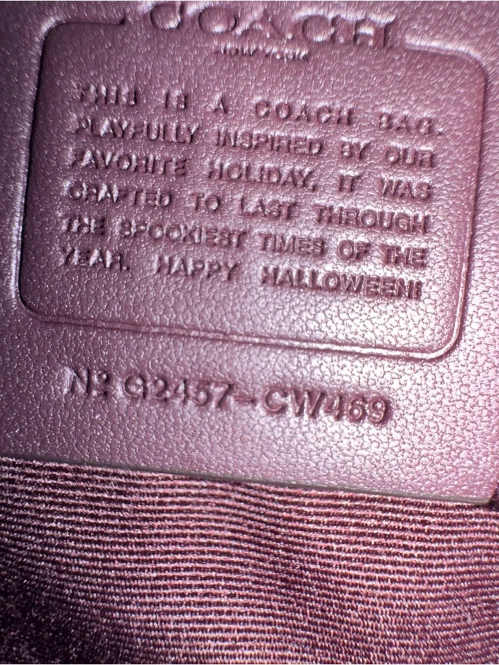 NWT Women COACH Canteen Cute Purple Halloween Bat Crossbody Bag Boo-tiful Cw469 - Picture 8 of 8